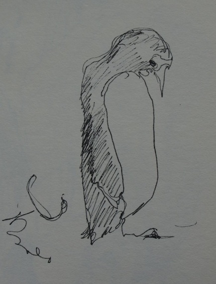 pen sketch of penguin